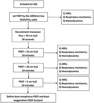 Evaluation of Positive End-Expiratory Pressure Strategies in Patients With Coronavirus Disease 2019–Induced Acute Respiratory Distress Syndrome